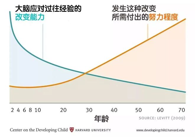重要提醒：3岁后孩子大脑发育减缓这种能力不及时锻炼耽九游会J9 J9九游会误一辈子！(图5)
